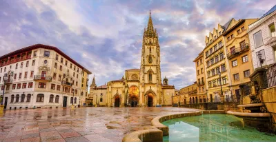 Ein dunkler Musk Ochse steht auf einer grünen Wiese.