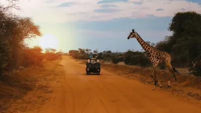 Eine Giraffe überquert eine staubige Straße vor einem Safari-Jeep.