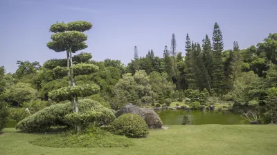 Grüner botanischer Garten mit Bäumen und einem kleinen Teich.