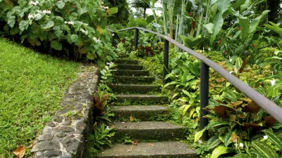 Stufen führen durch einen üppigen botanischen Garten.