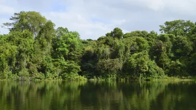 Dichter tropischer Dschungel spiegelt sich im ruhigen Wasser des Gatunsees.
