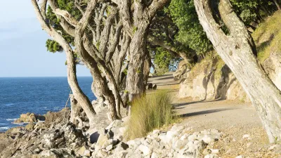 Wanderweg entlang der Küste mit Blick auf das blaue Meer.