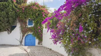 Blühender Flieder umrahmt eine blaue Tür in Sidi Bou Said