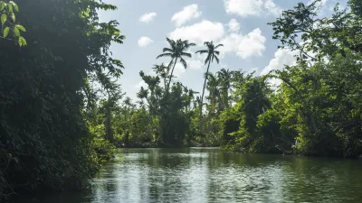 Dschungelkanal mit üppiger Vegetation und spiegelndem Wasser.