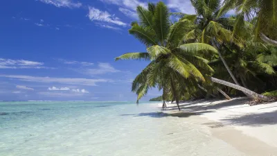 Palmen säumen den weißen Sandstrand an der Küste Madagaskars.