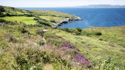 Blühende Landschaft mit Blick auf die Bantry Bay in Irland