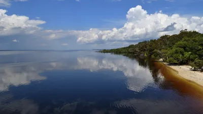 Amazonas Flusslandschaft mit üppiger Vegetation am Ufer