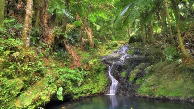 Ein kleiner Wasserfall stürzt in ein ruhiges Becken im üppigen Dschungel.