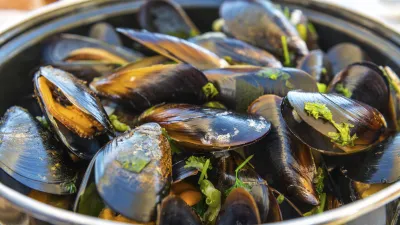 Gedämpfte Muscheln in einem großen Topf mit Kräutern