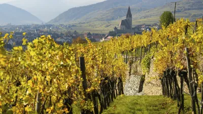 Herbstliche Weinberge in der Wachau mit Blick auf die Stadt.