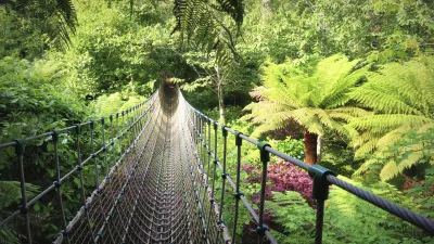 Hängende Brücke führt durch üppige grüne Vegetation