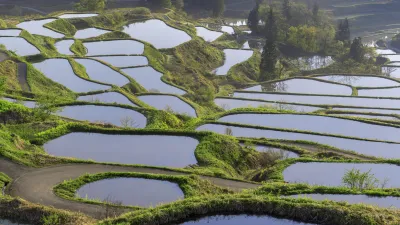 Reisterrassen in Japan zeigen eine grüne Landschaft mit Wasserflächen.