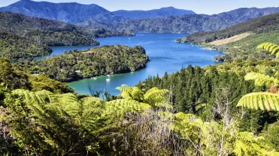 Blick auf die Marlborough Sounds mit grünen Hügeln und blauem Wasser.