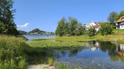 Seerosenteich mit Spiegelung im klaren Wasser und Häusern im Hintergrund.