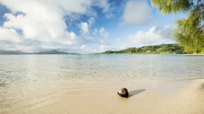 Tropischer Strand mit Kokosnuss und klarem Wasser