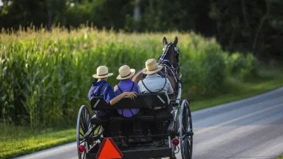 Amische Familie fährt mit einem Pferdewagen durch eine grüne Landschaft