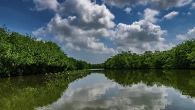 Mangrovenwald spiegelt sich im ruhigen Wasser wider