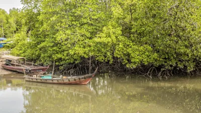 Traditionelle Boote liegen im Mangrovenwald von Langkawi.