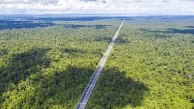 Luftaufnahme einer Straße, die durch dichten grünen Dschungel führt