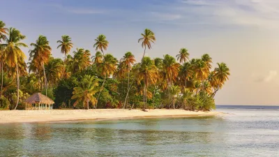 Tropischer Strand mit Palmen und einem kleinen Strandhaus.