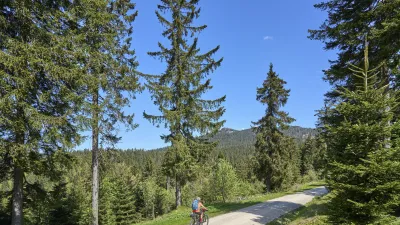 Ein Radfahrer fährt auf einem Waldweg durch den Bayerischen Wald.