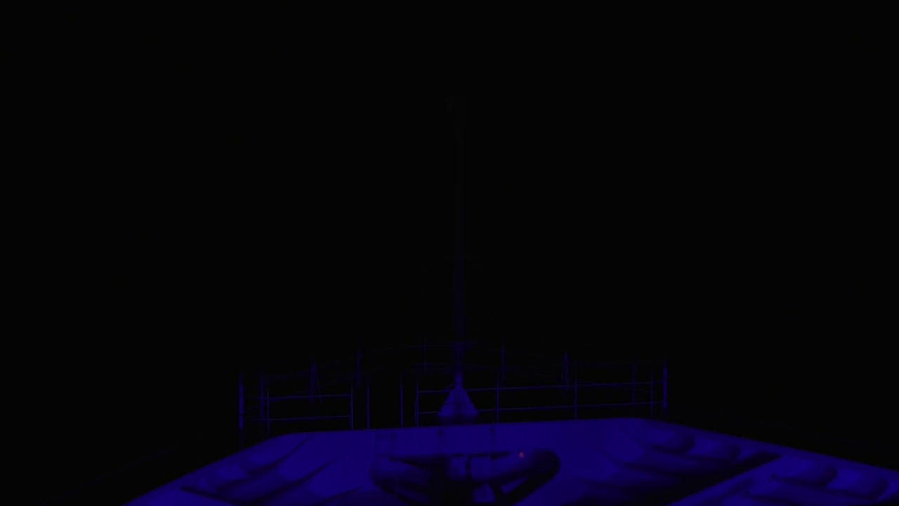 Bugcam MS Amadea