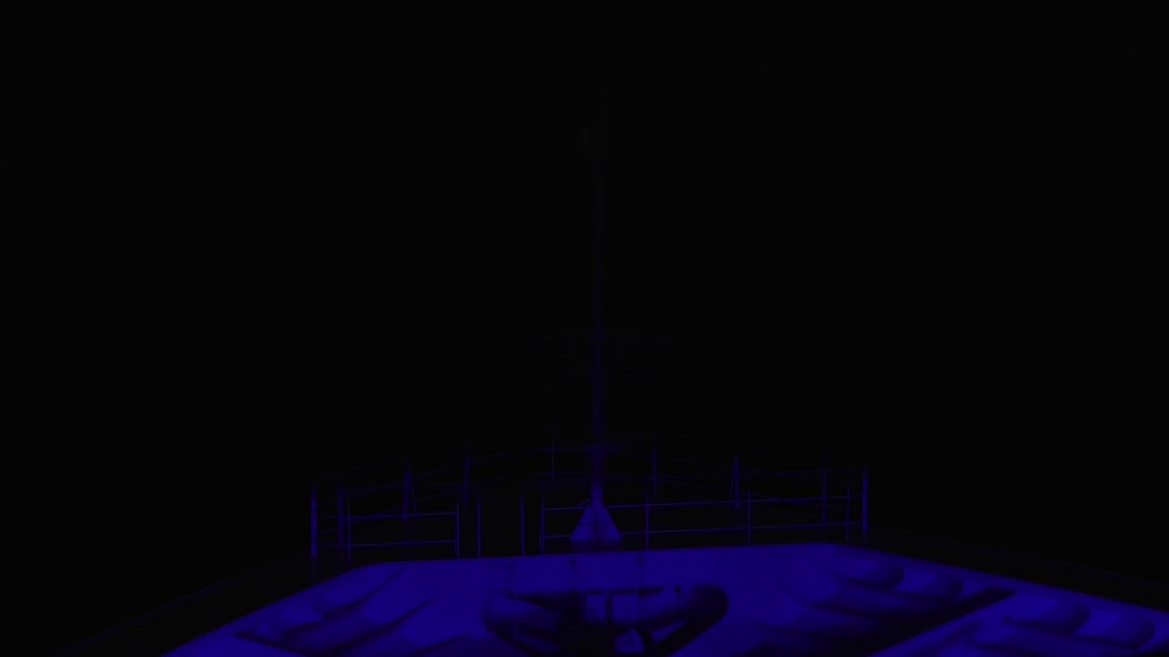 Bugcam MS Amadea