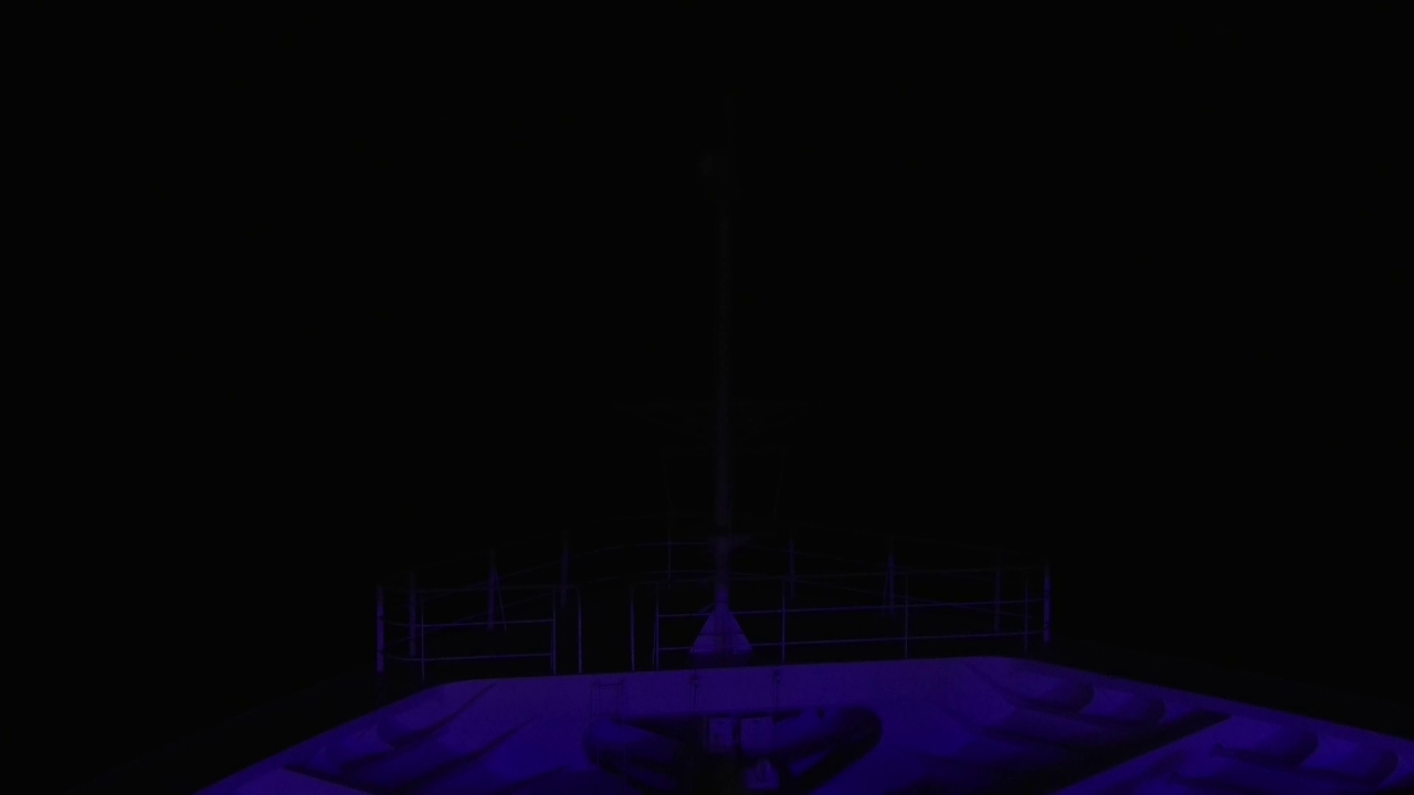 Bugcam MS Amadea