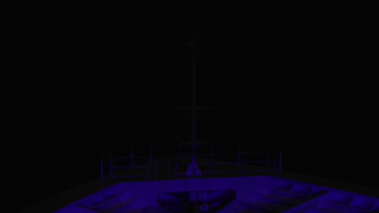 Bugcam MS Amadea