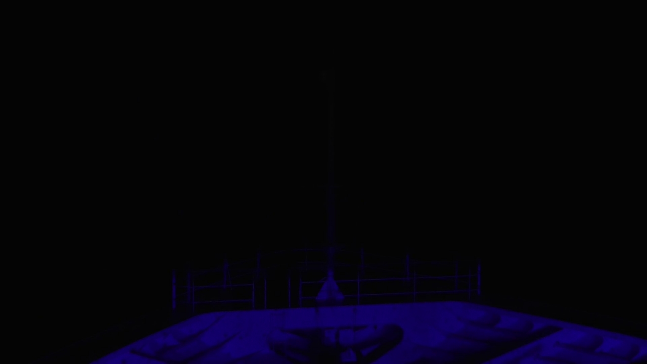 Bugcam MS Amadea