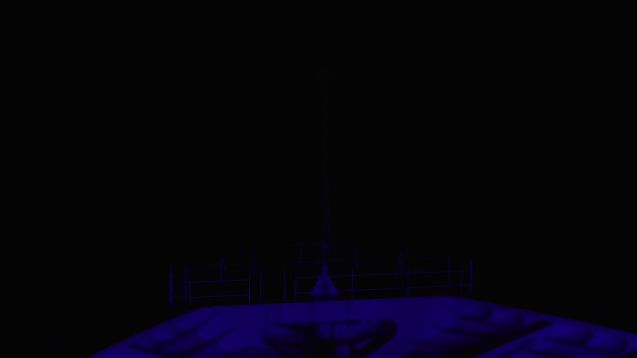 Bugcam MS Amadea