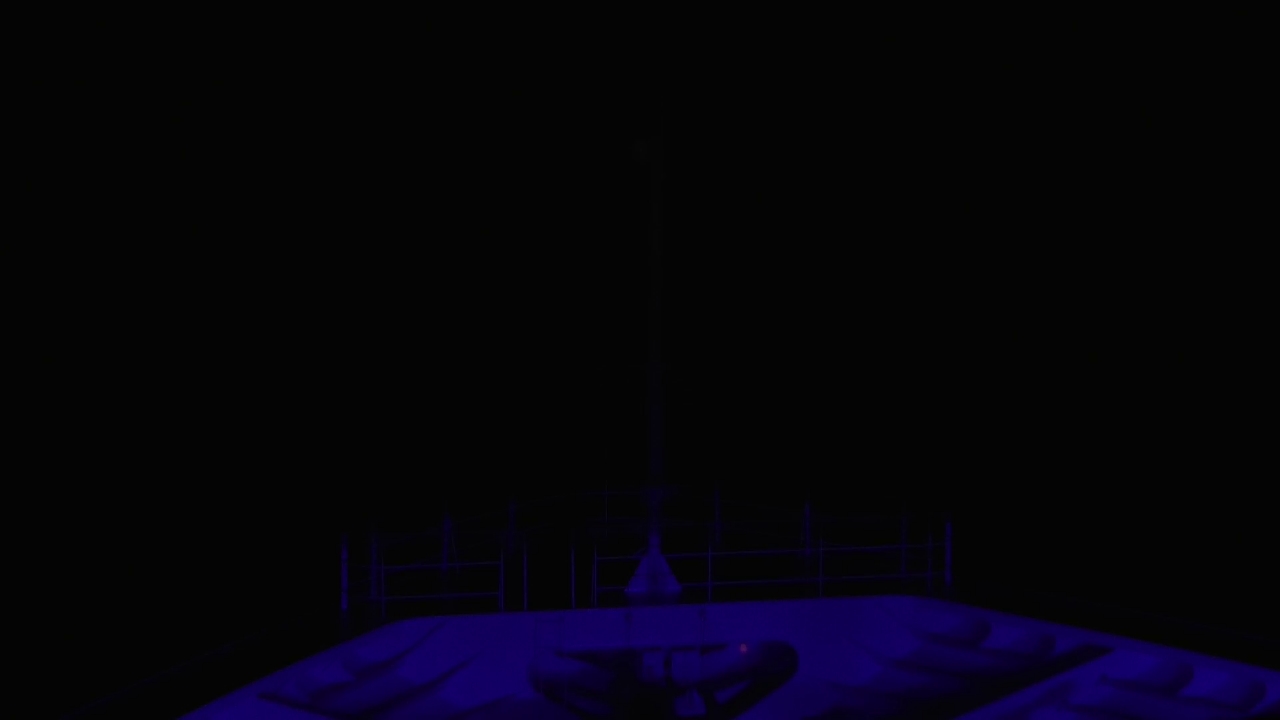 Bugcam MS Amadea