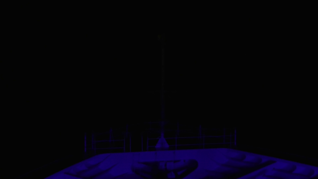 Bugcam MS Amadea