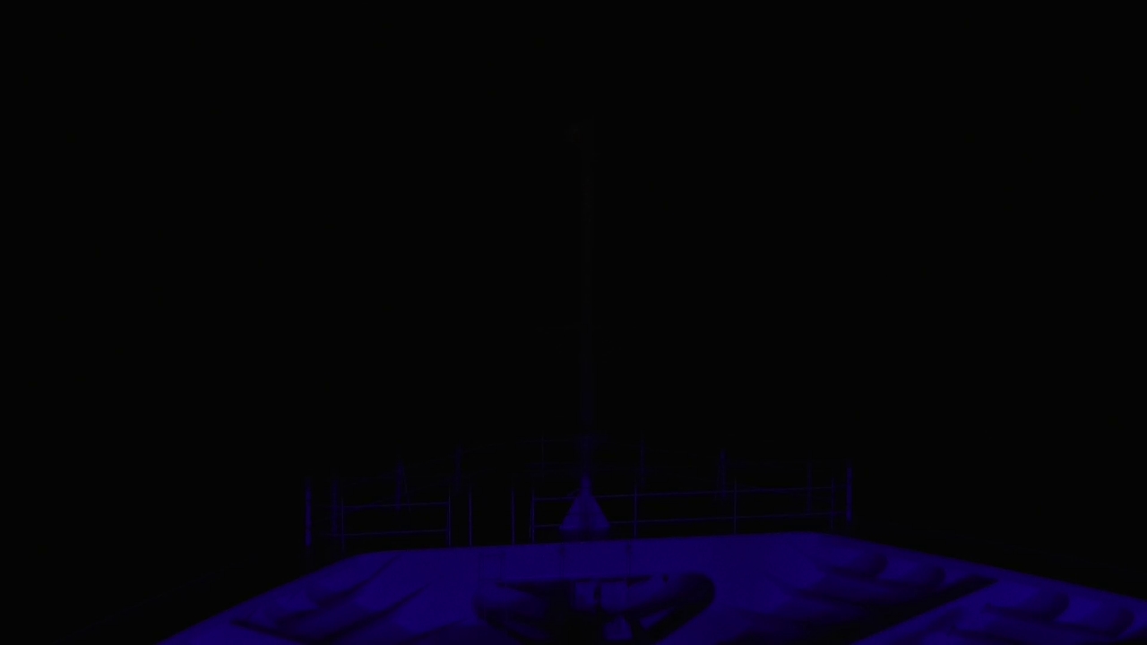 Bugcam MS Amadea