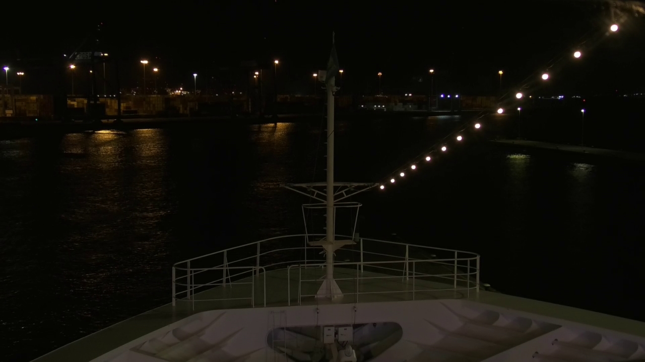 Bugcam MS Amadea
