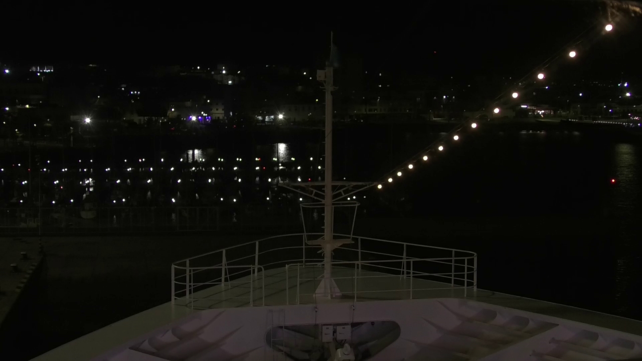 Bugcam MS Amadea