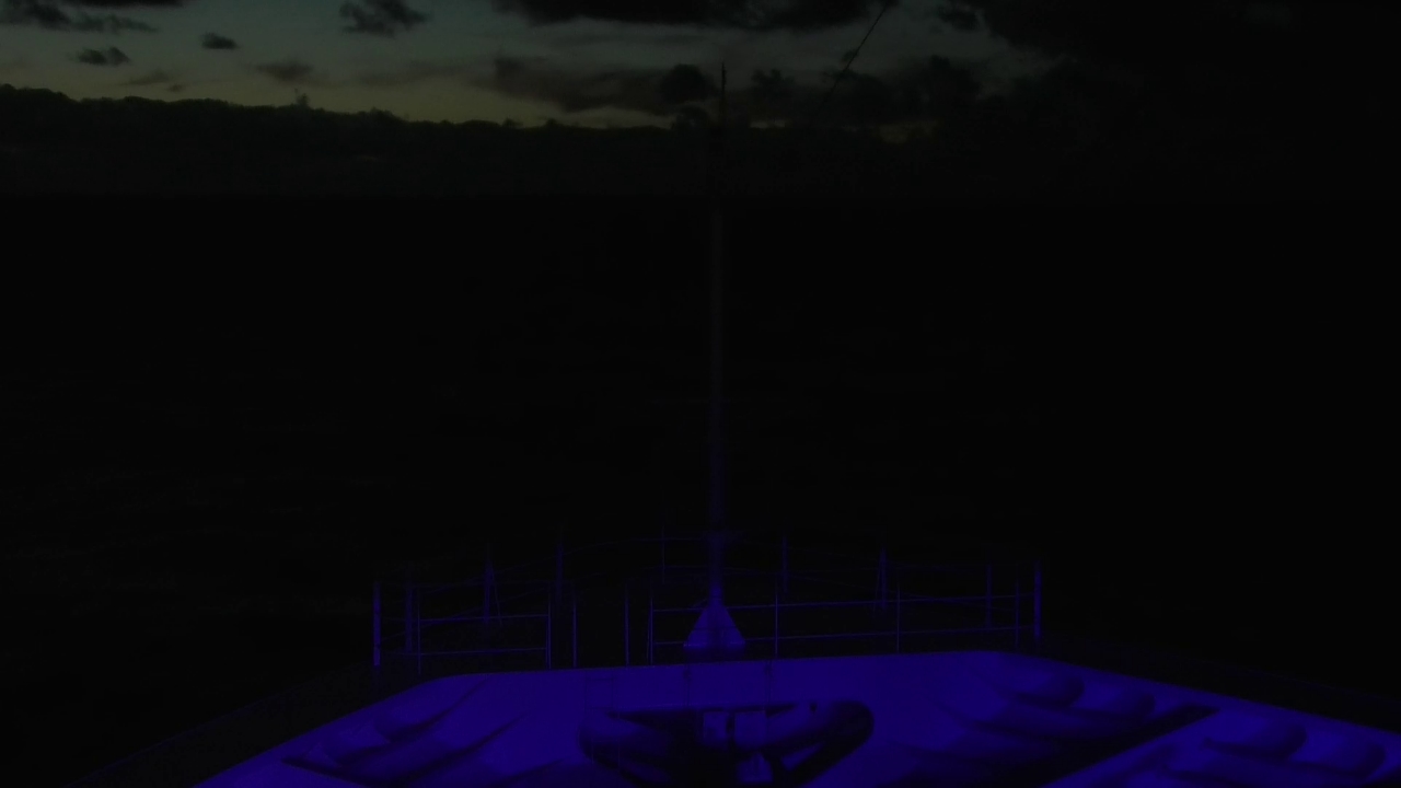 Bugcam MS Amadea