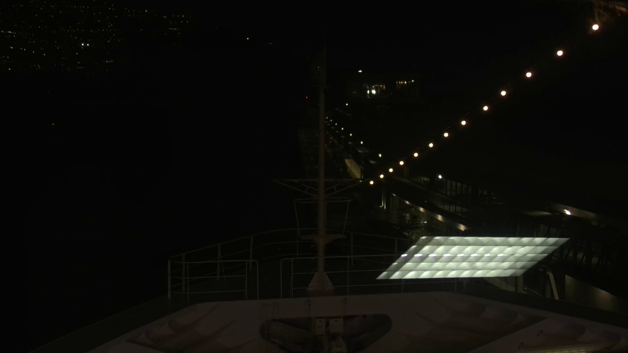 Bugcam MS Amadea