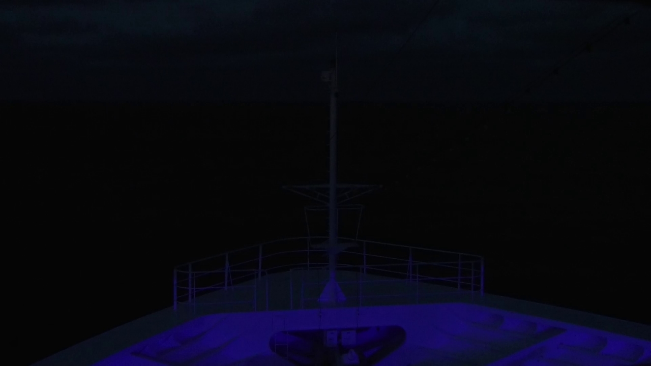 Bugcam MS Amadea