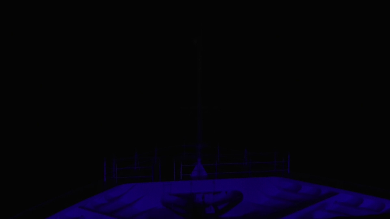 Bugcam MS Amadea