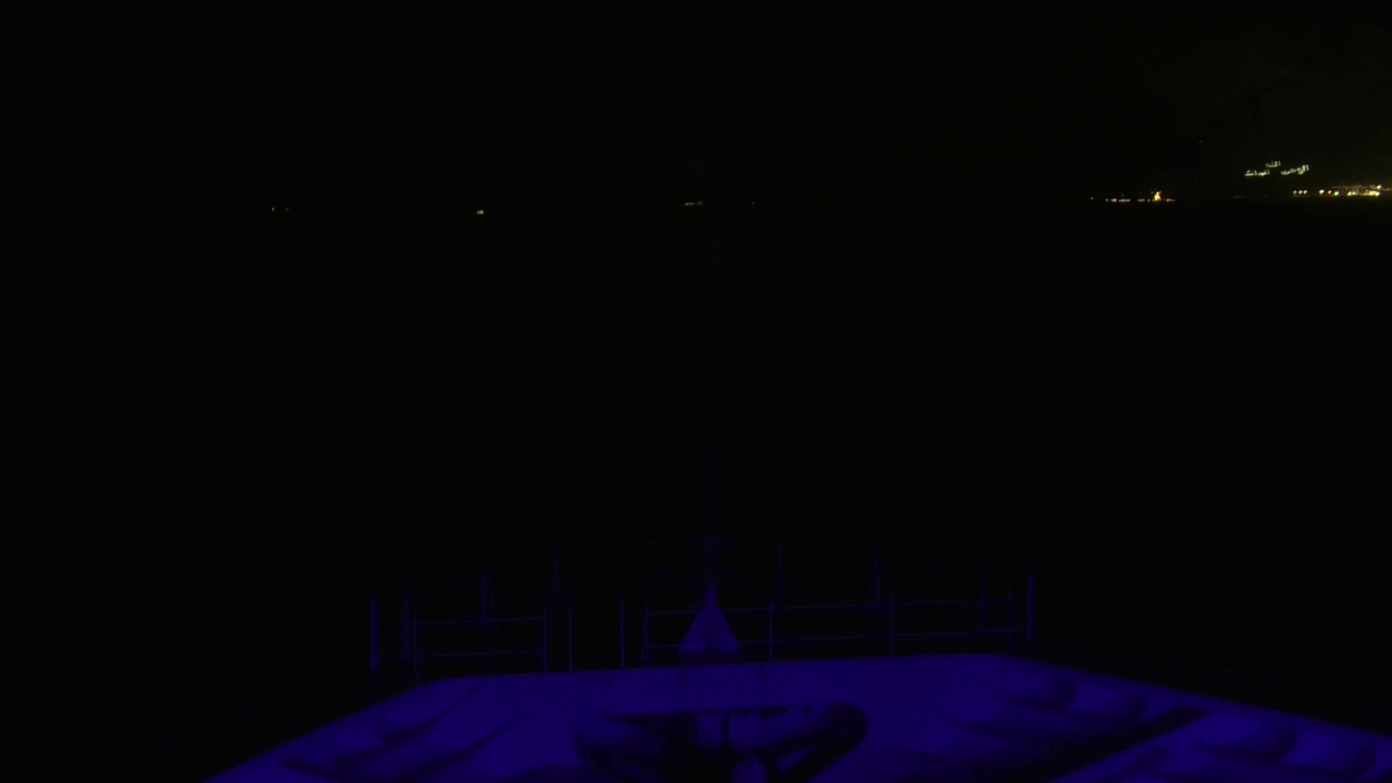 Bugcam MS Amadea