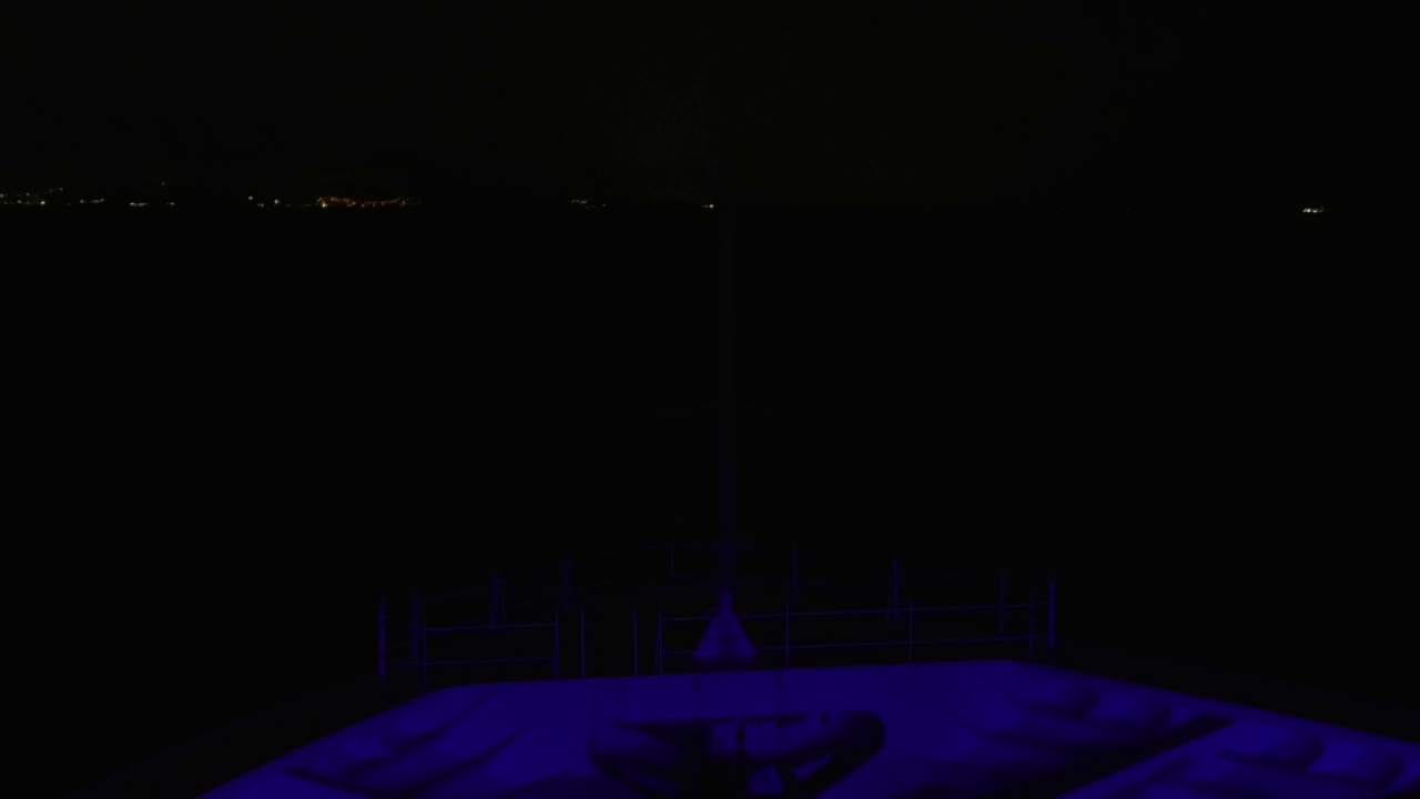 Bugcam MS Amadea