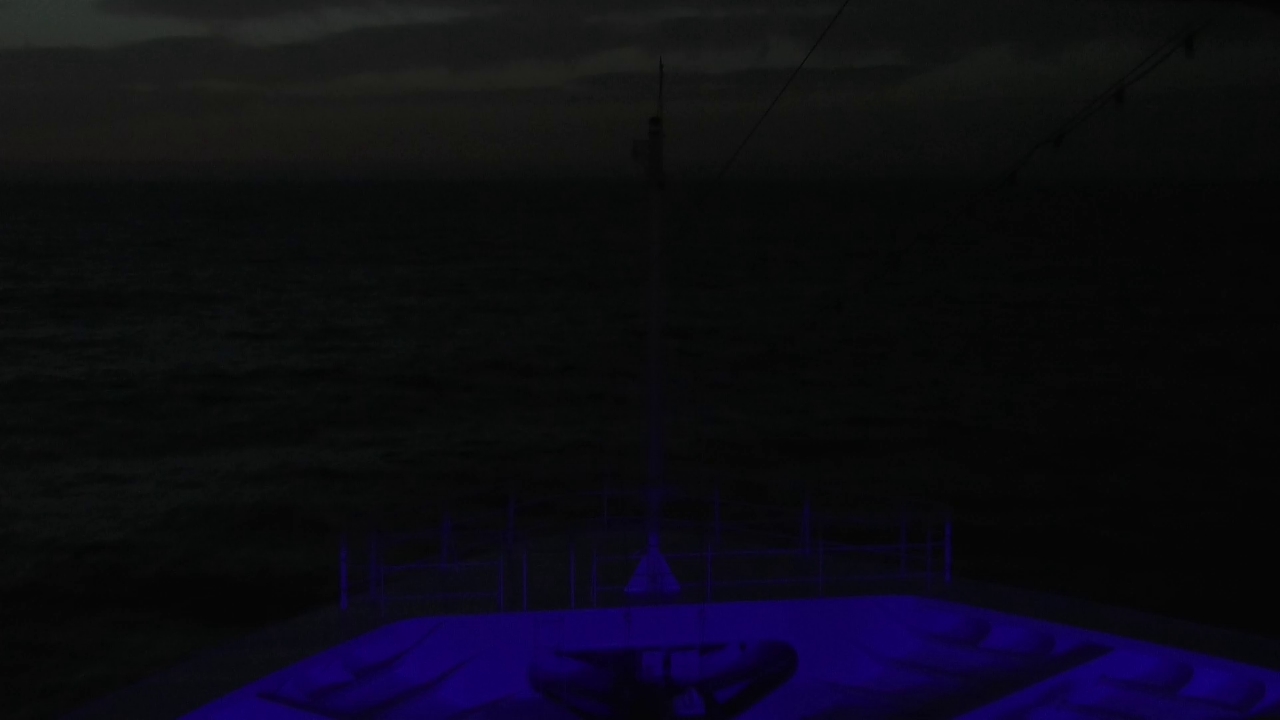 Bugcam MS Amadea