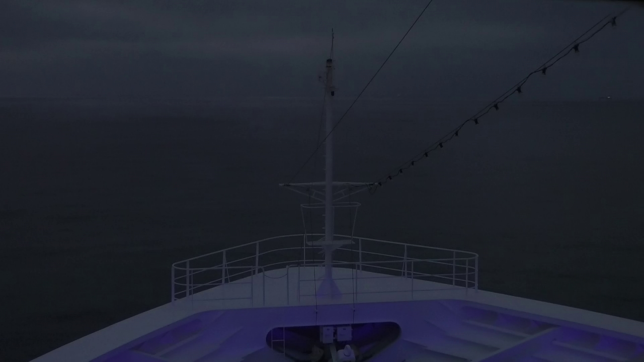 Bugcam MS Amadea