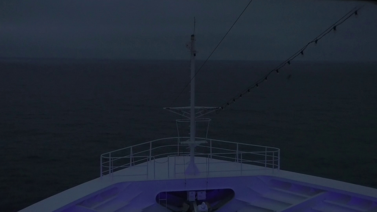 Bugcam MS Amadea