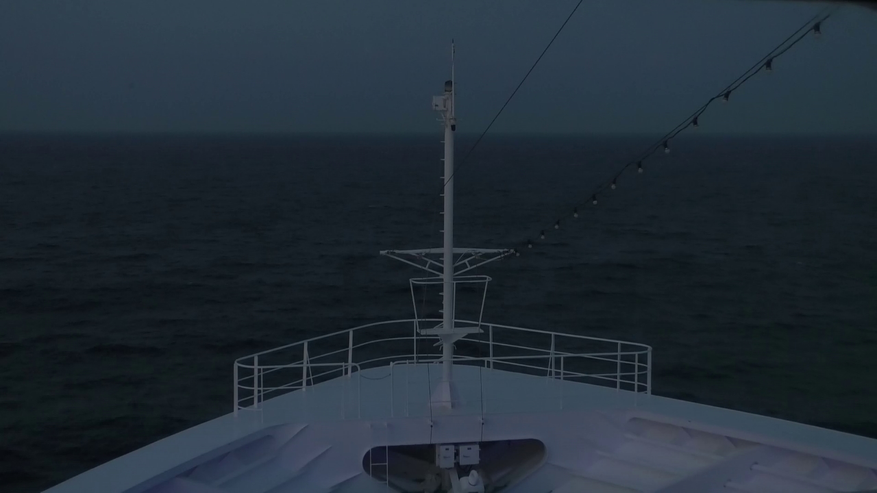 Bugcam MS Amadea