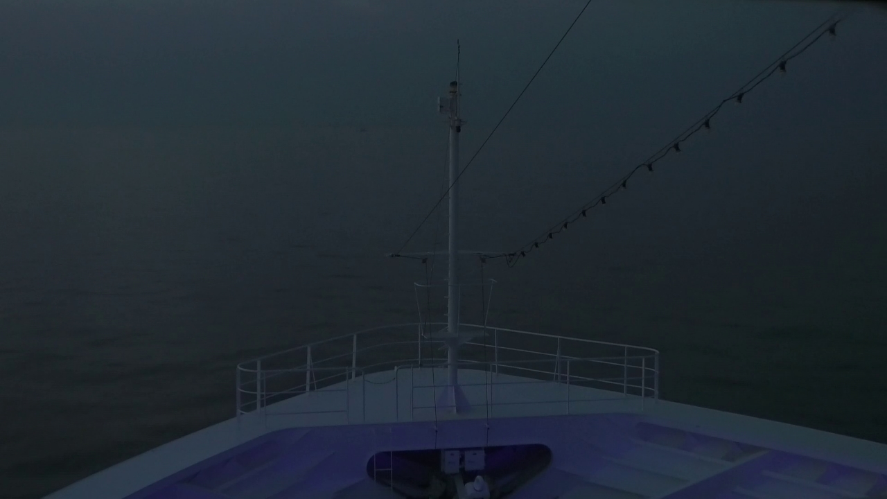 Bugcam MS Amadea