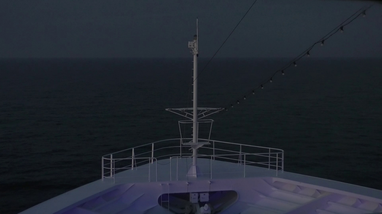 Bugcam MS Amadea