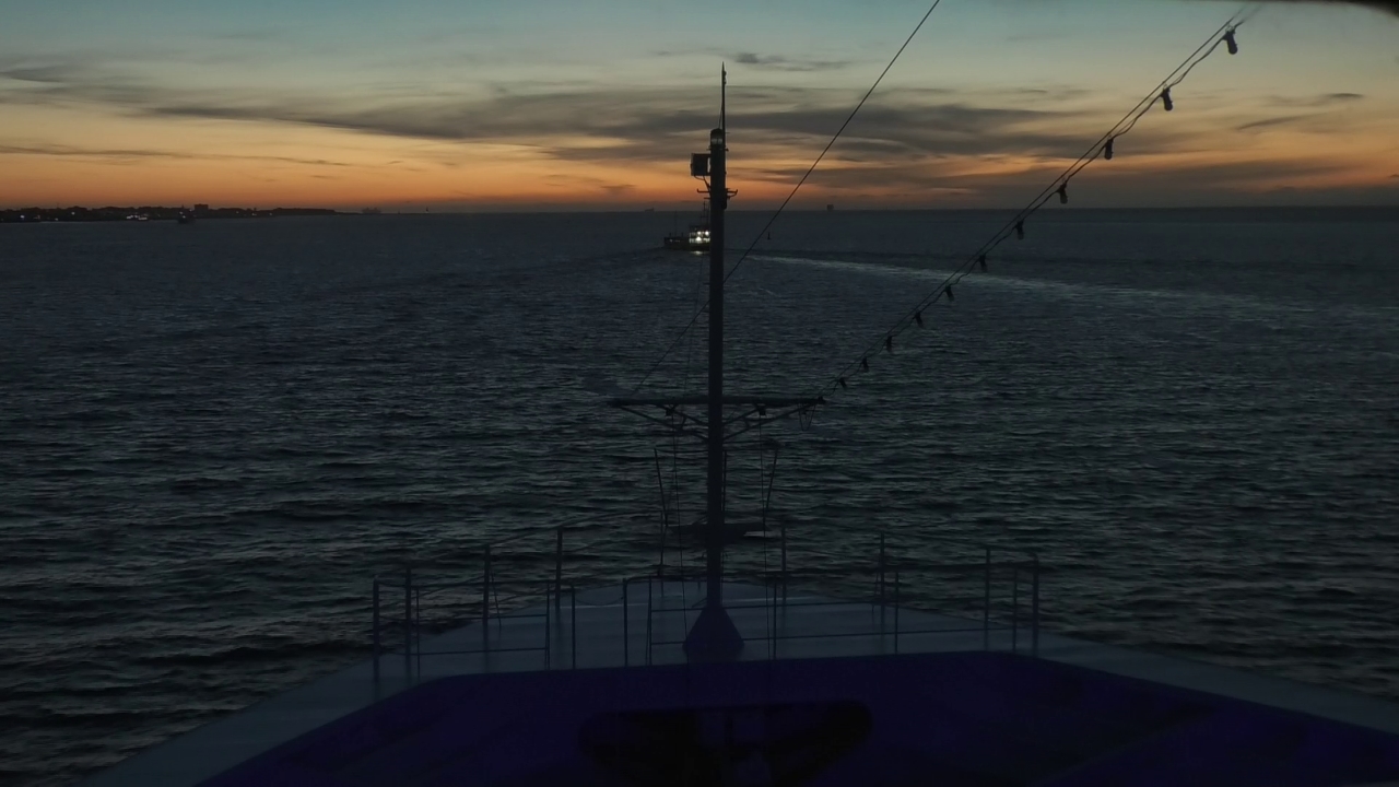 Bugcam MS Amadea