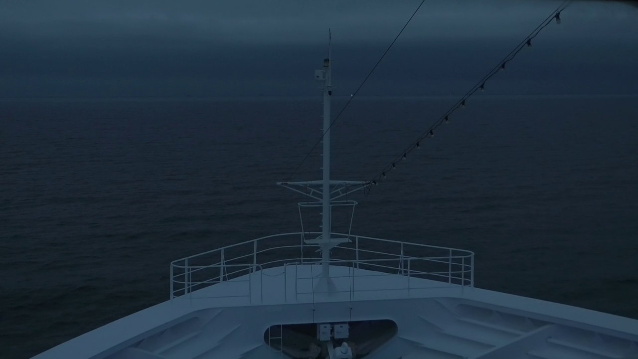 Bugcam MS Amadea